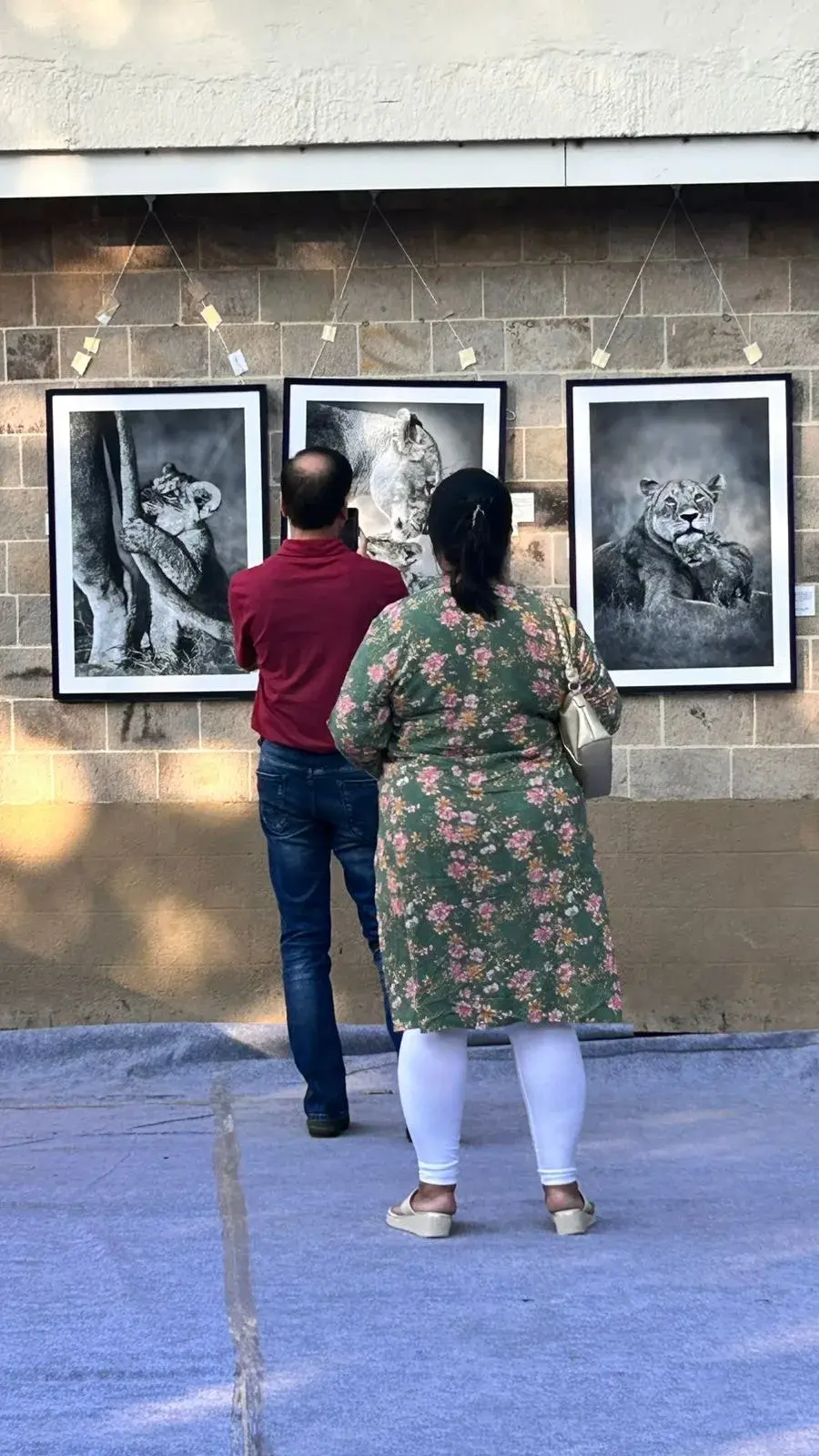 Wildlife prints on display at Jahangir Art Gallery, Mumbai