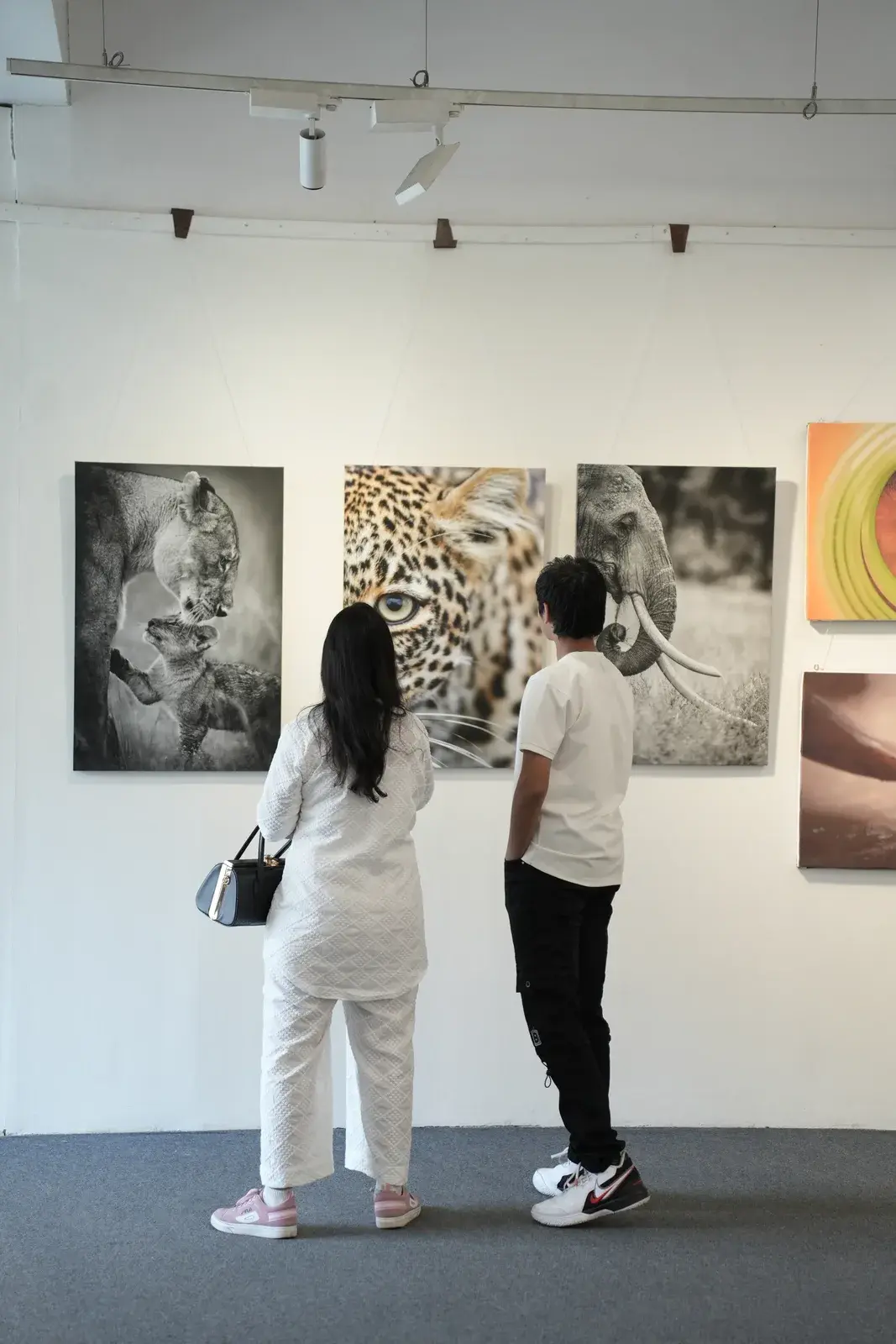 Visitors viewing wildlife prints at Jawahar Kala Kendra, Jaipur