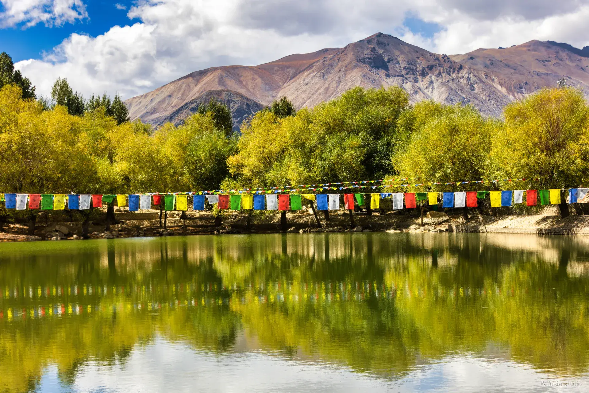 Prayer Flags at Nako