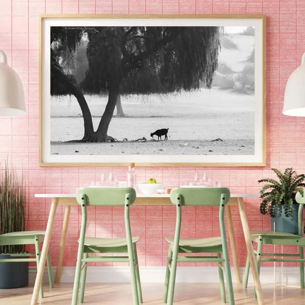 Shade Dweller — view 5