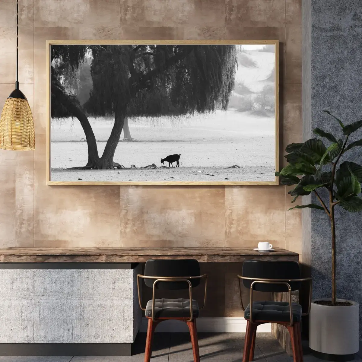 Shade Dweller — view 6